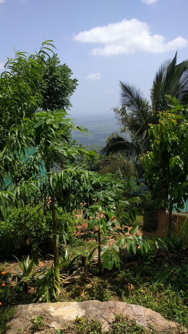  🇹🇿️ Christmas at the farm images/2017/christmas/8.jpg