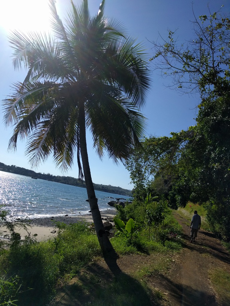  🇲🇬️ Arrival in Nosy be images/2017/madagascar/13.jpg