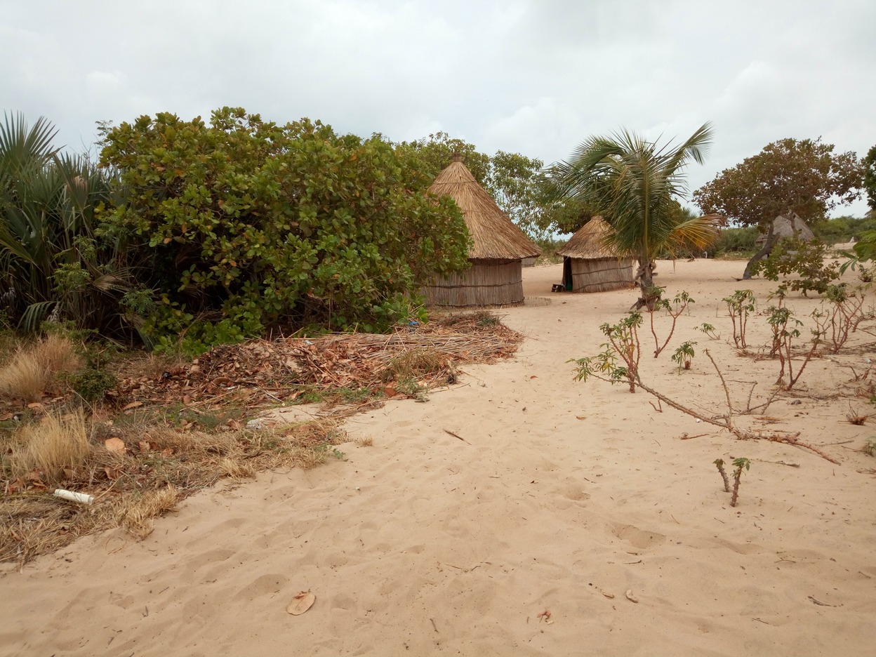  🇲🇿️ Bazaruto Island images/2018/bazaruto/16.jpg