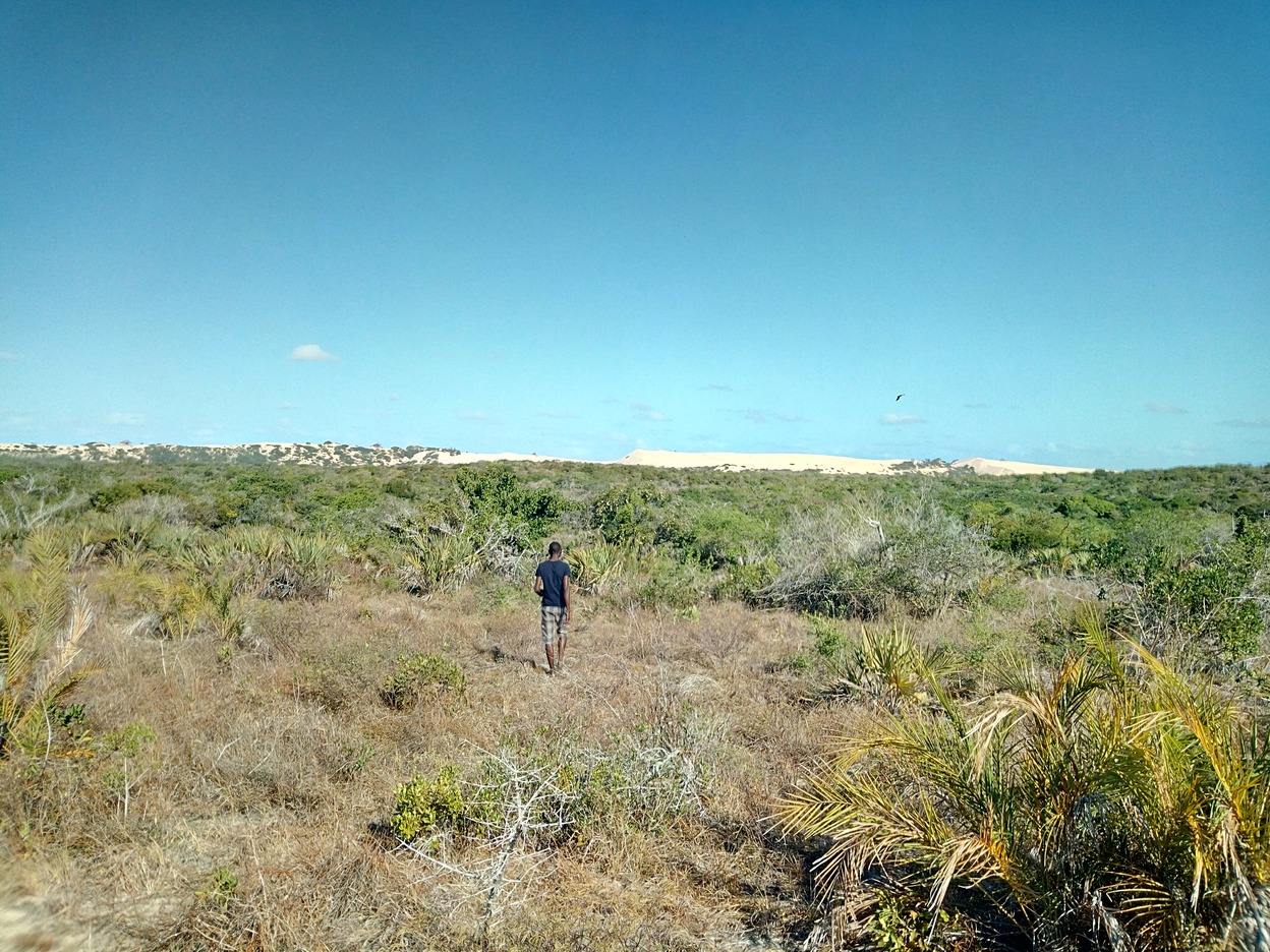  🇲🇿️ Bazaruto Island images/2018/bazaruto/6.jpg