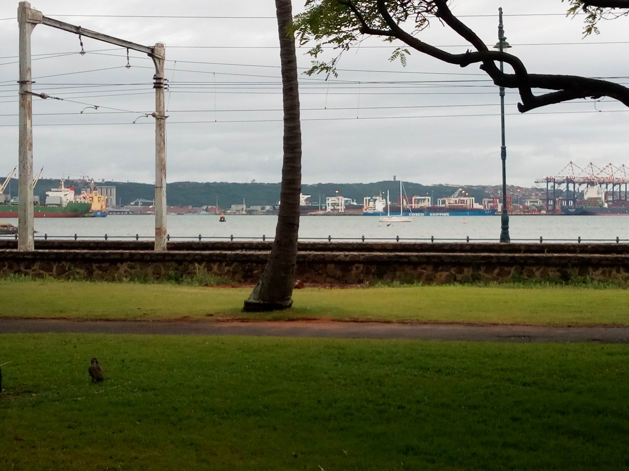  🇲🇿️ Bazaruto Island to 🇿🇦️ Durban images/2018/bazdur/7.jpg