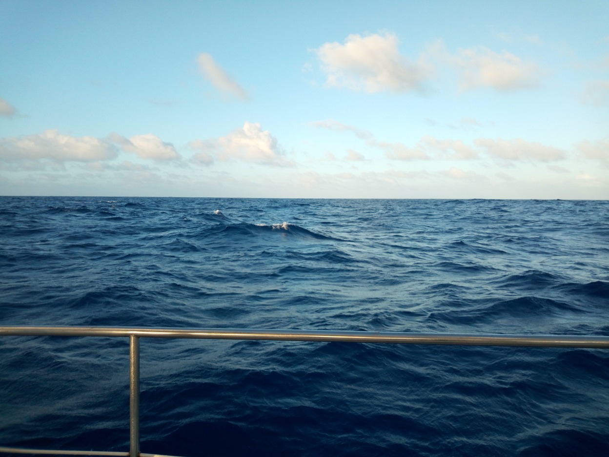  🇿🇦️ Capetown to 🇸🇭️ St Helena images/2018/caphel/6.jpg