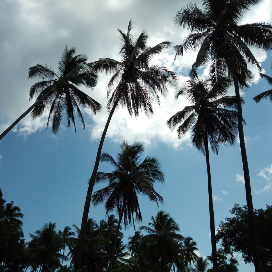  🇹🇿️ Dar Es Salaam to Mafia Island images/2018/darmafia/5.jpg