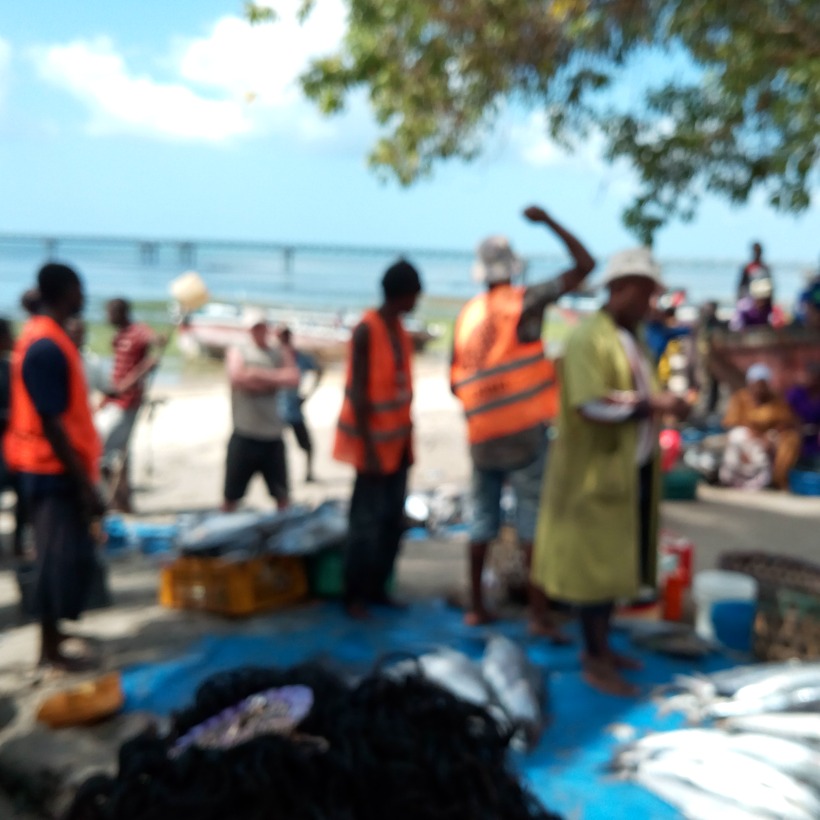  🇹🇿️ Dar Es Salaam to Mafia Island images/2018/darmafia/6.jpg