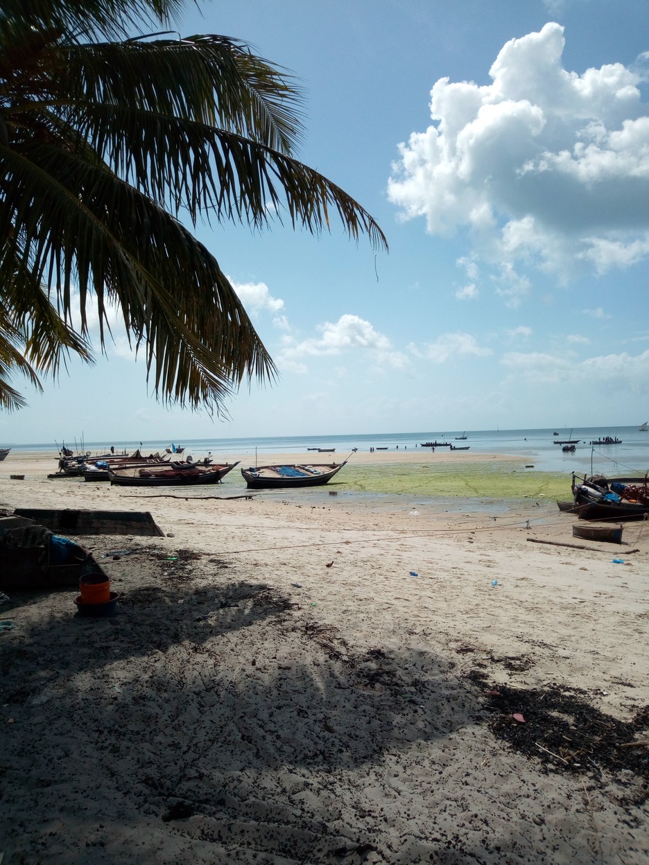  🇹🇿️ Dar Es Salaam to Mafia Island images/2018/darmafia/7.jpg