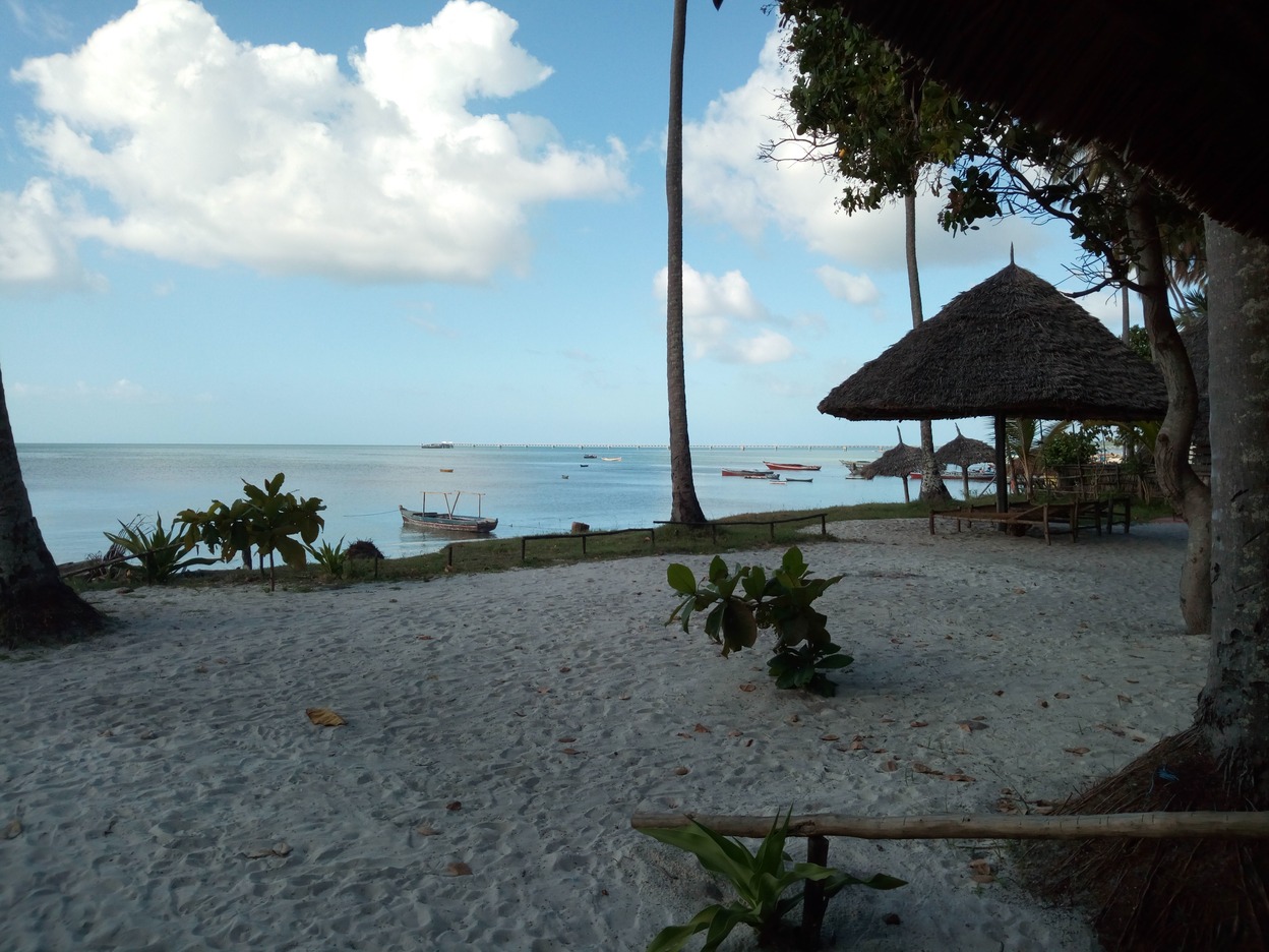  🇹🇿️ Dar Es Salaam to Mafia Island images/2018/darmafia/9.jpg