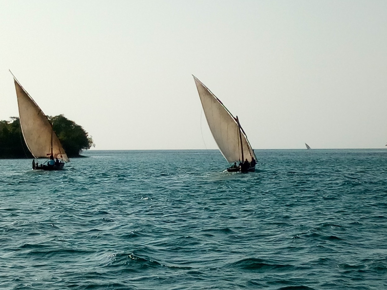 Dar, Chumbe Island, Zanzibar music festival images/2018/zanz1/21.jpg