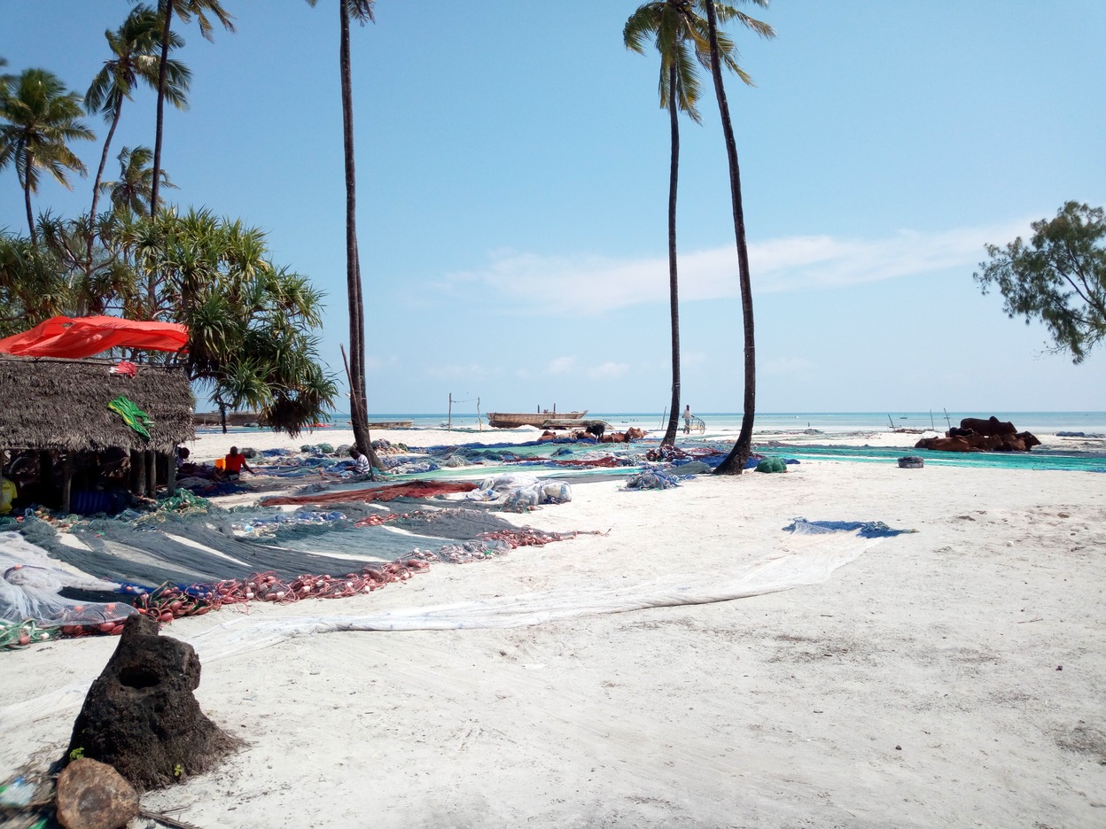  🇹🇿 Bawi Island and Zanzibar images/2018/zanz2/10.jpg