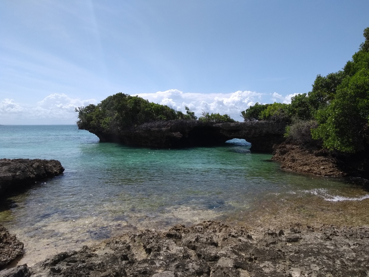  🇹🇿 Dar, Zanzibar and the islands, Tanga images/2018/zanz3/10.jpg