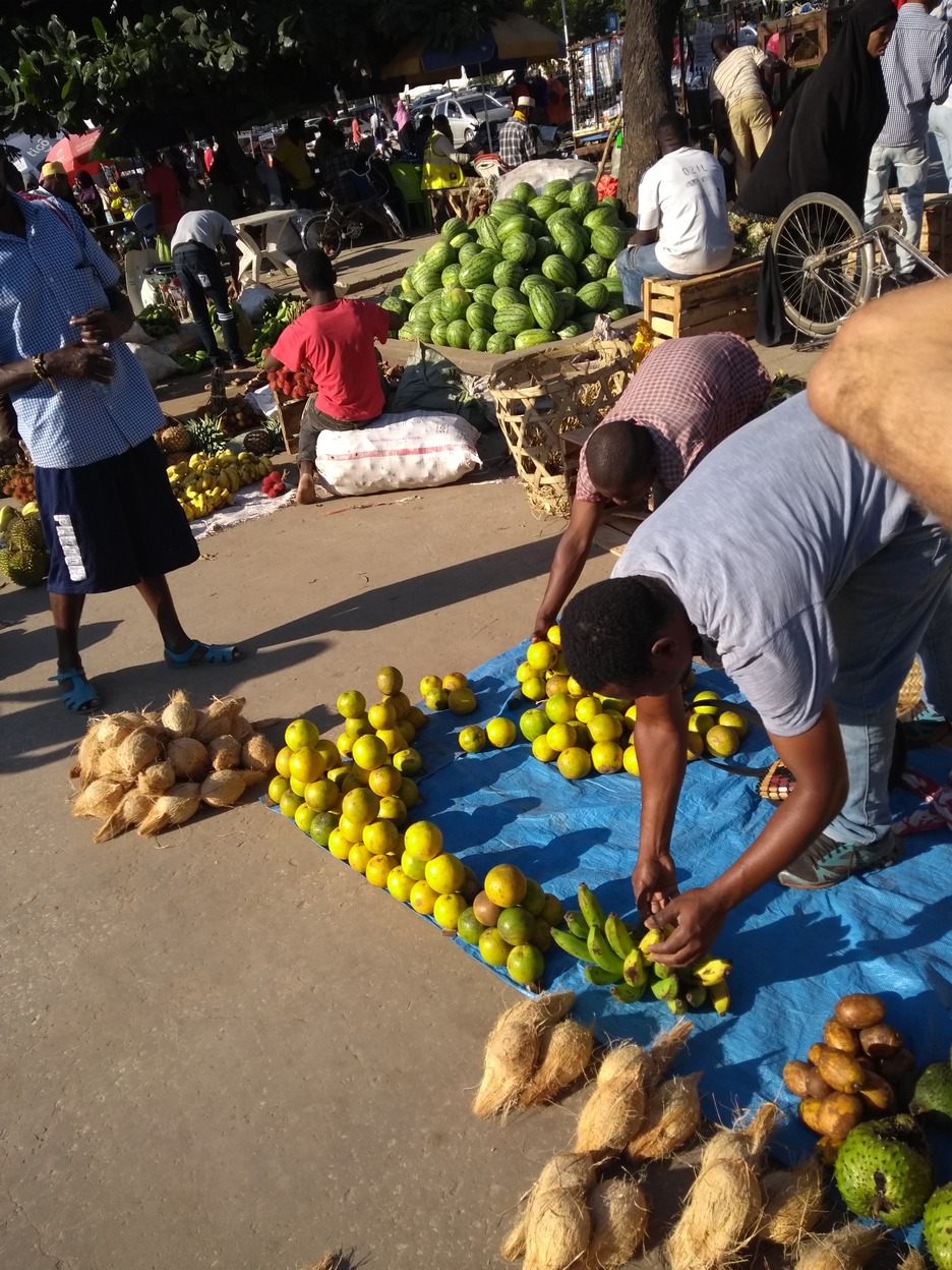 Dar, Zanzibar and the islands, Tanga images/2018/zanz3/24.jpg