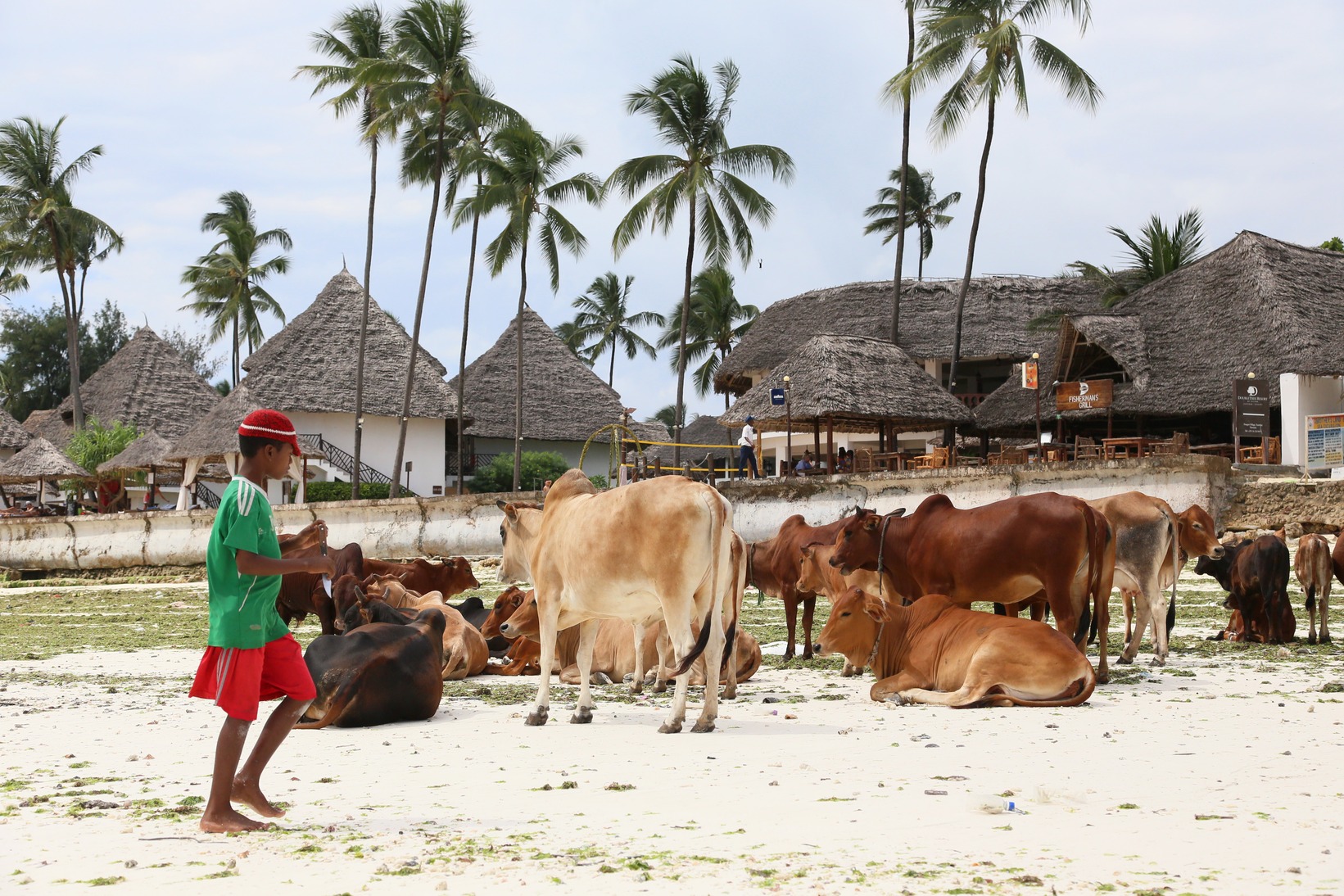  🇹🇿 Dar, Zanzibar and the islands, Tanga images/2018/zanz3/32.jpg
