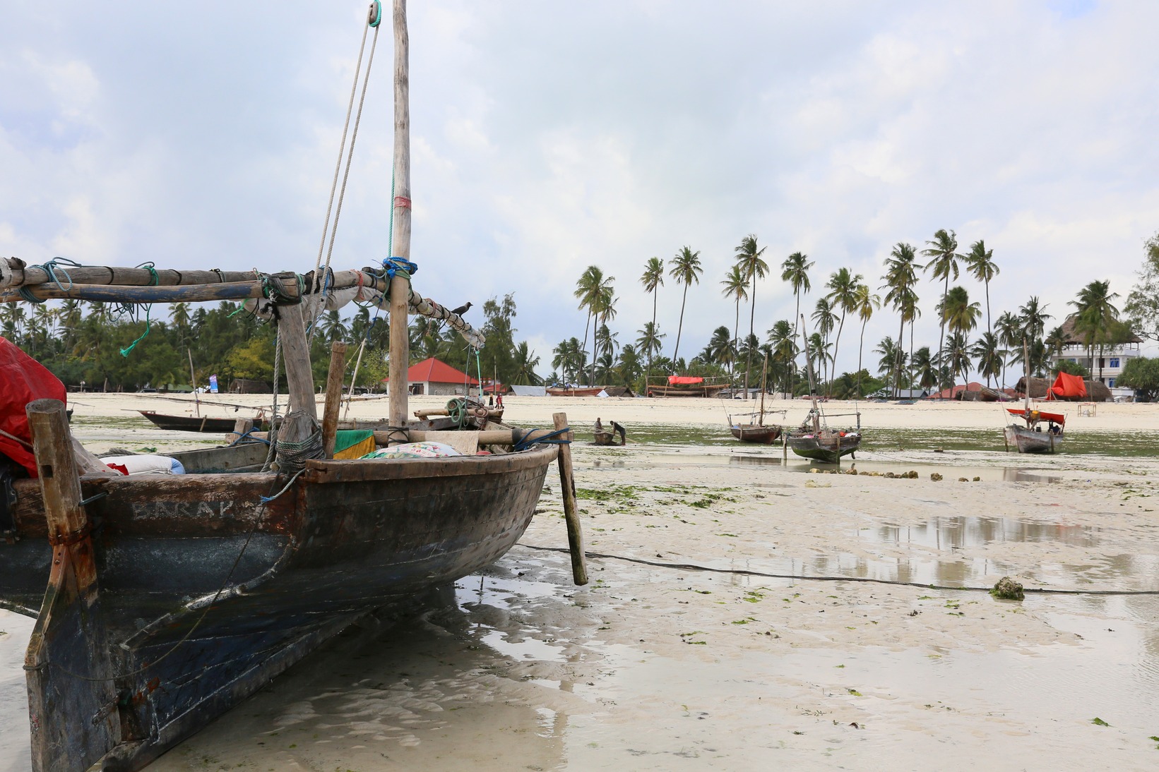  🇹🇿 Dar, Zanzibar and the islands, Tanga images/2018/zanz3/35.jpg