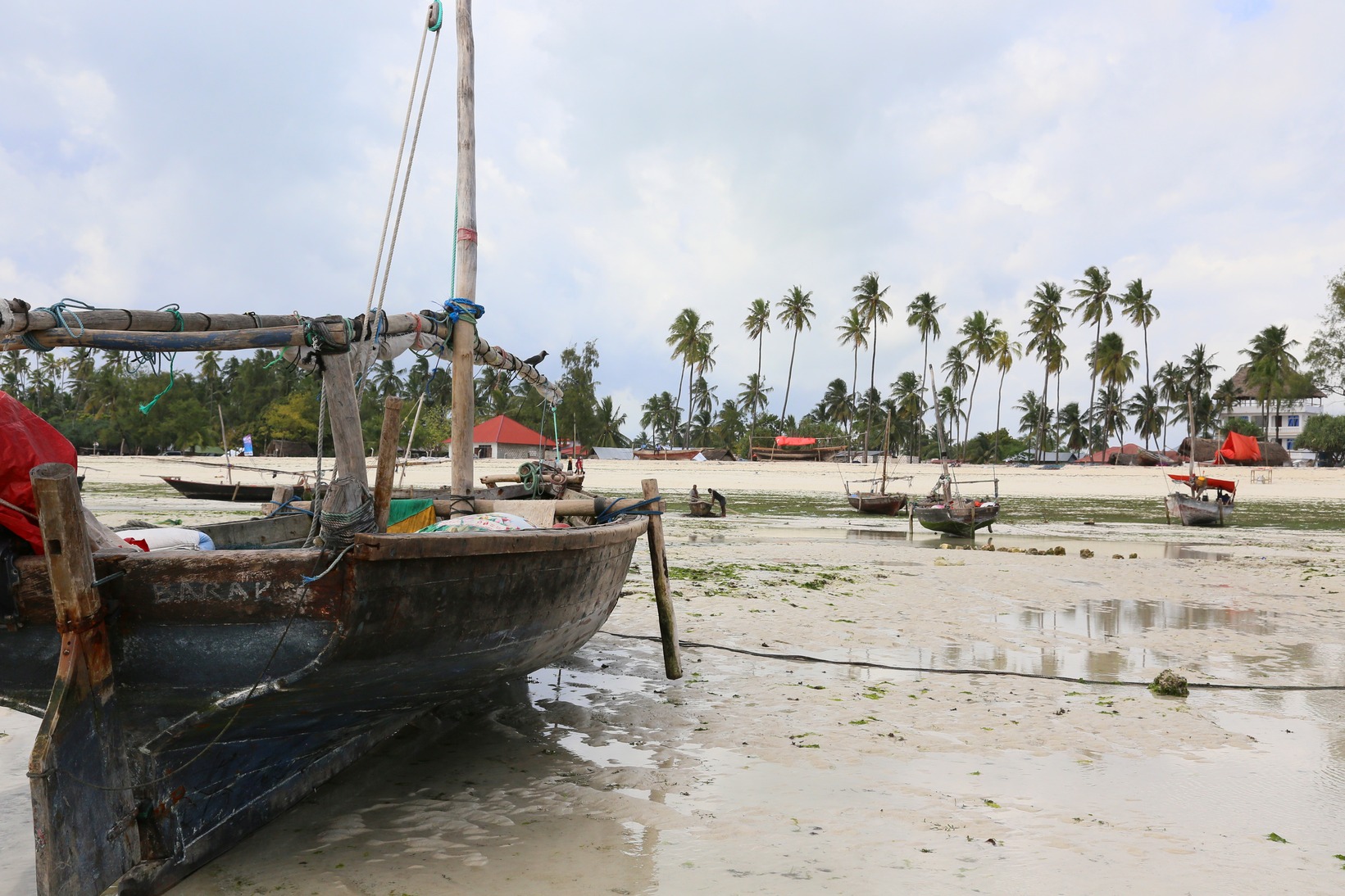 Dar, Zanzibar and the islands, Tanga images/2018/zanz3/35.jpg