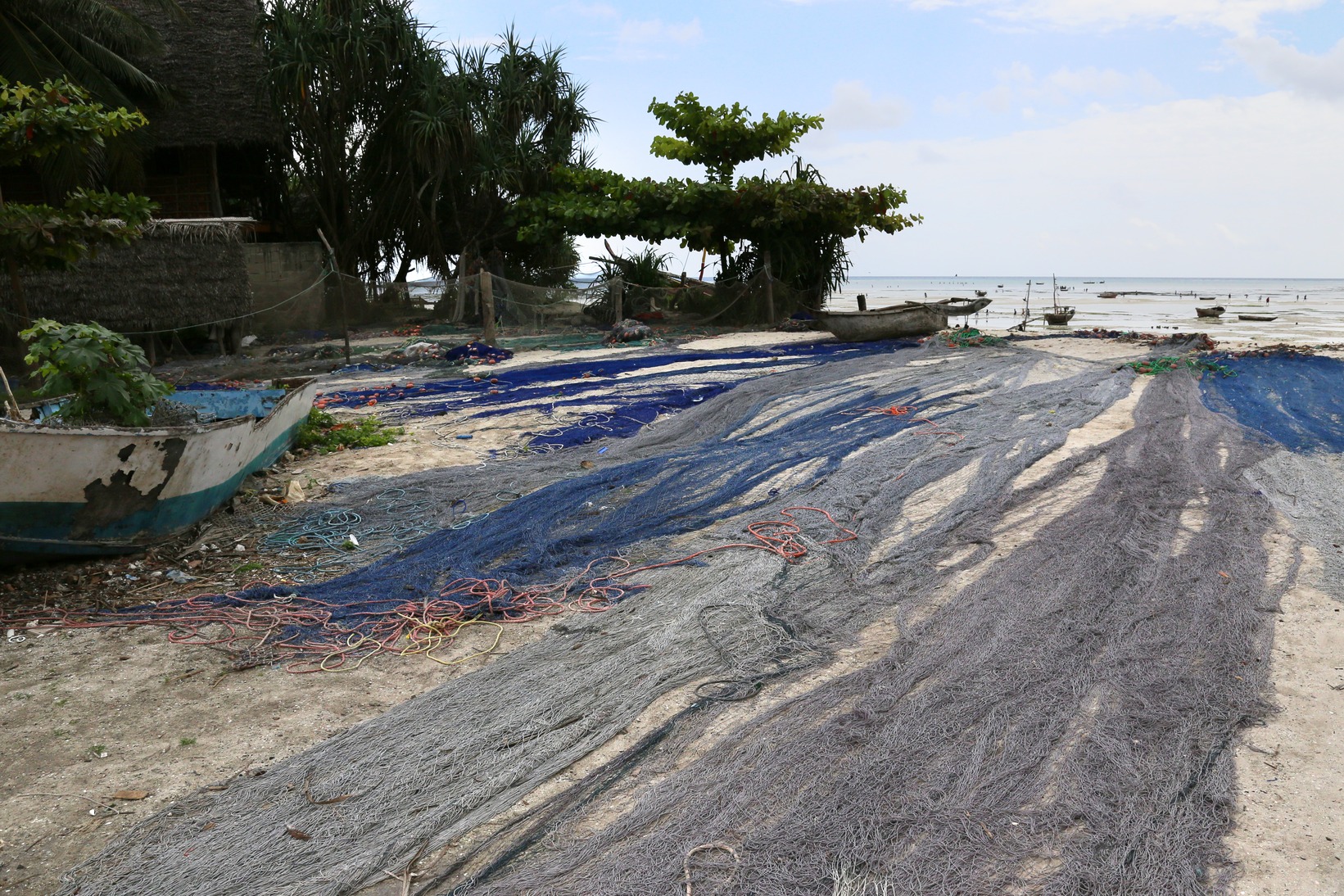 Dar, Zanzibar and the islands, Tanga images/2018/zanz3/37.jpg