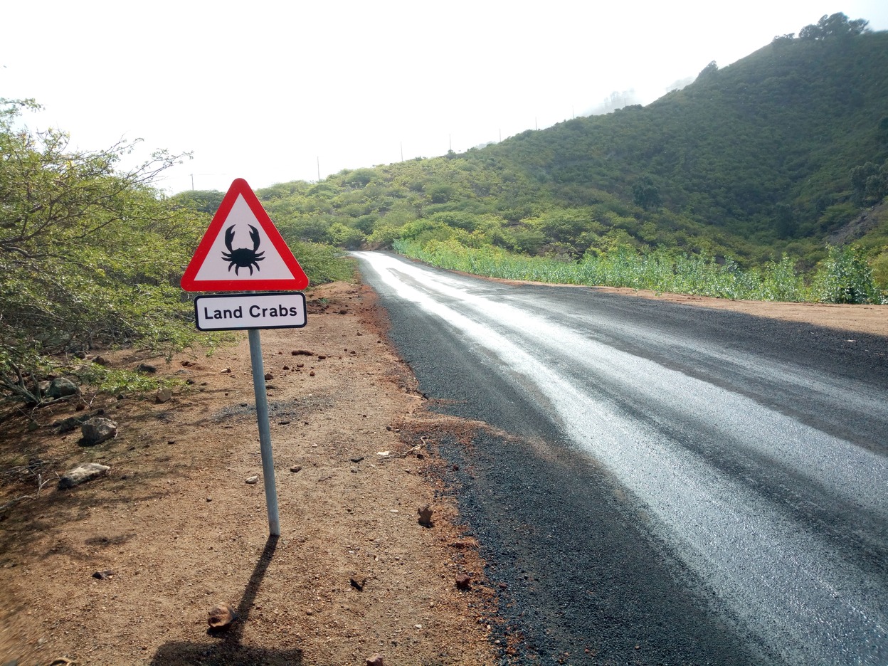  🇦🇨️ Ascension Island images/2019/ascension/1.jpg