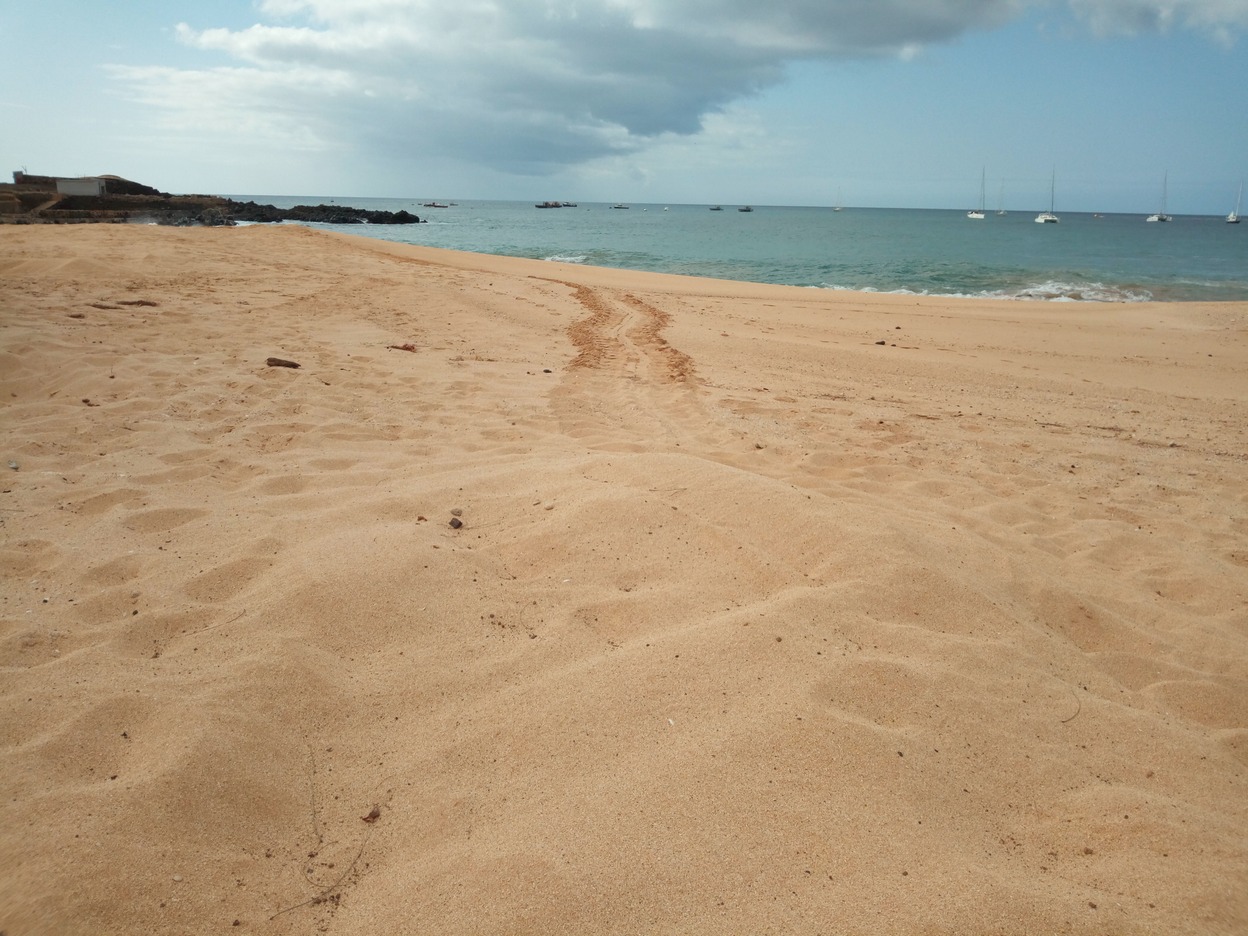  🇦🇨️ Ascension Island images/2019/ascension/5.jpg