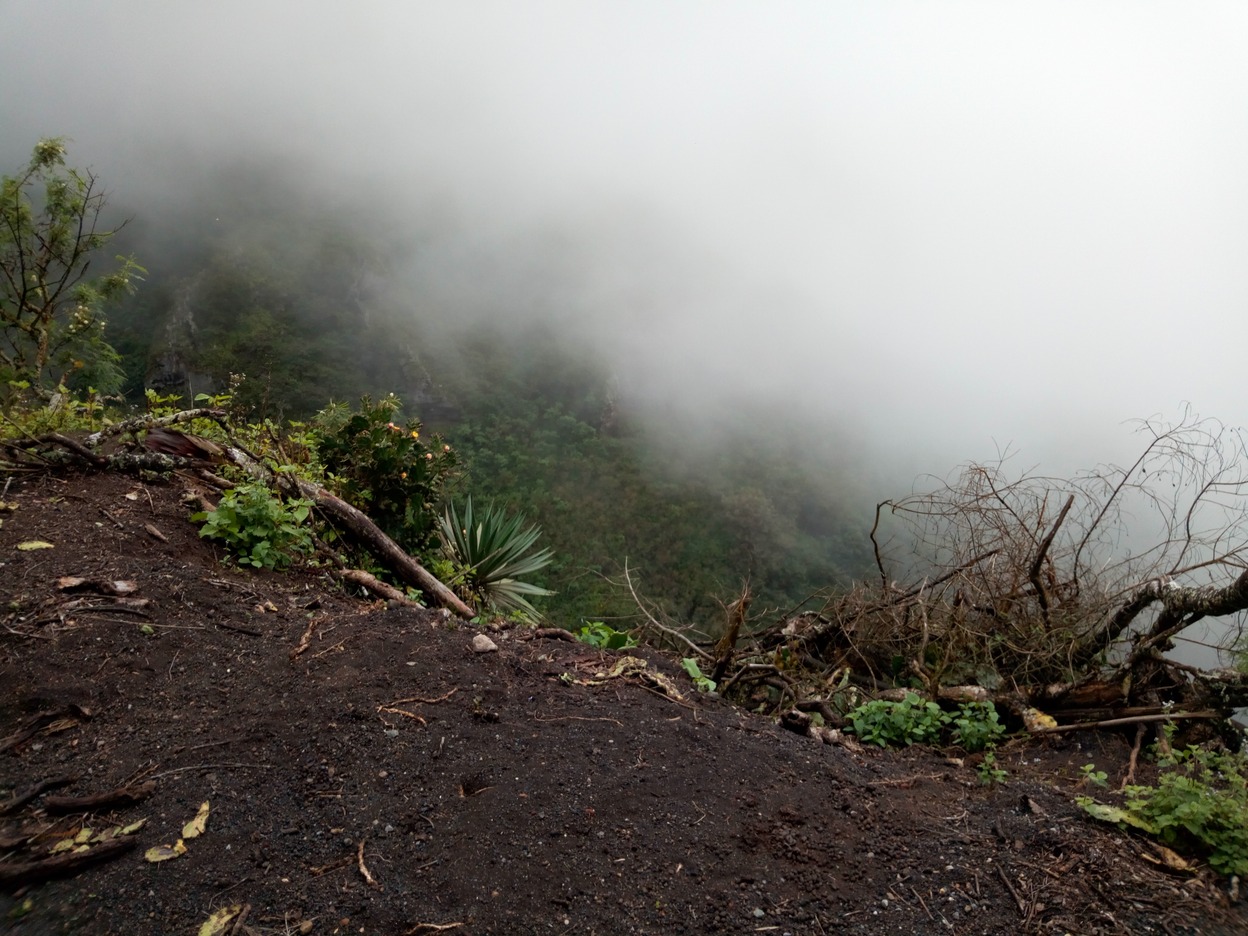  🇦🇨️ Ascension Island images/2019/ascension/6.jpg