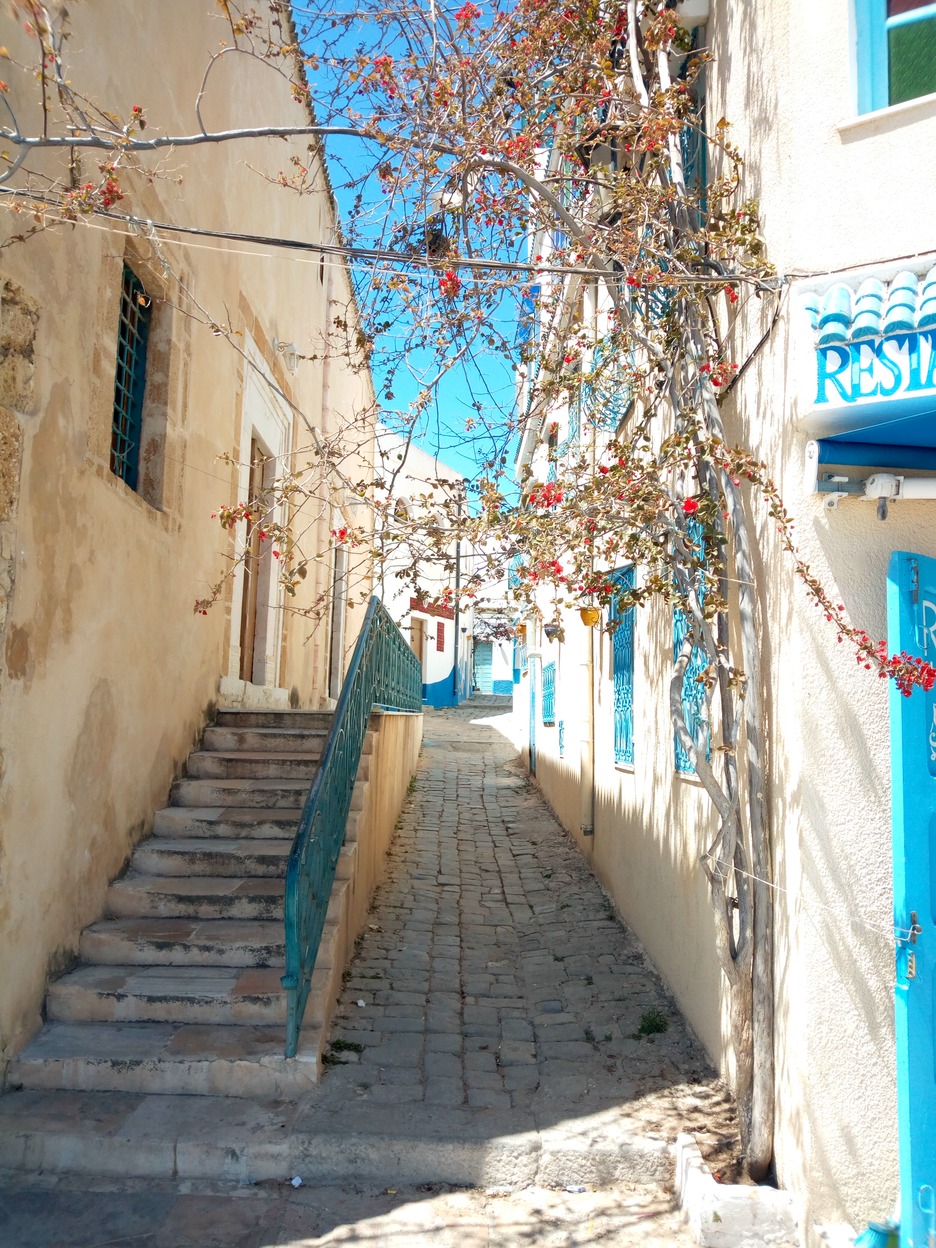  🇹🇳️ Bizerte images/2019/bizerte/4.jpg