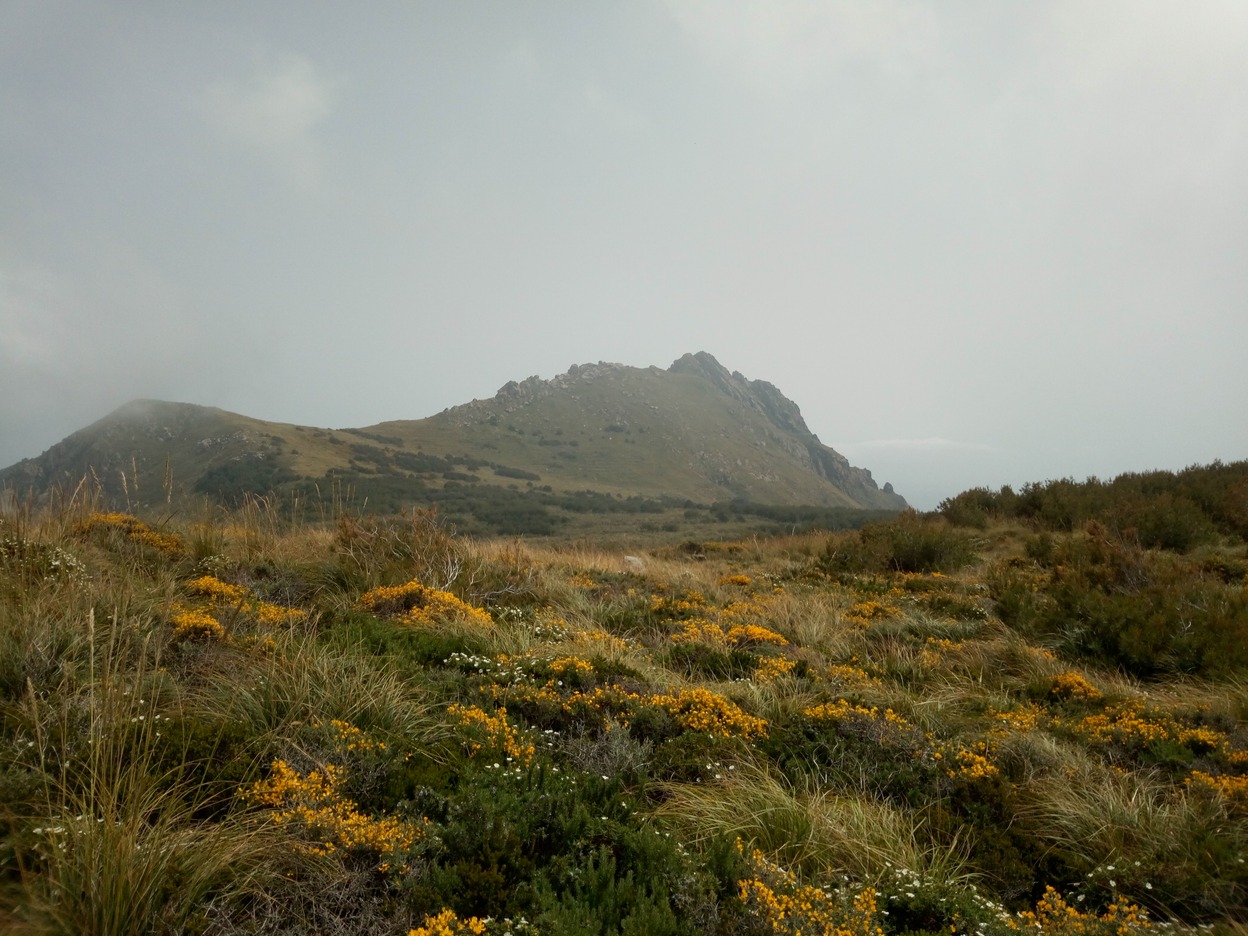  🇹🇳️ Ile de la Galite images/2019/galite/8.jpg