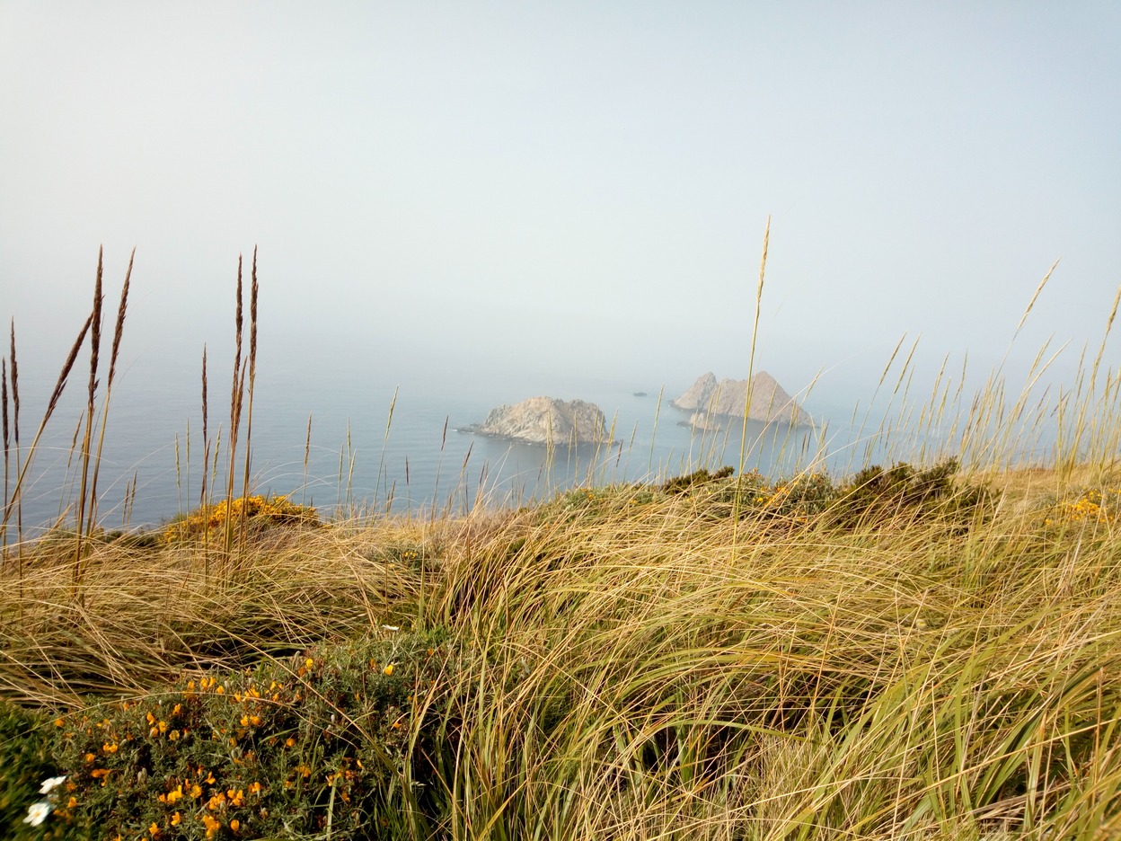  🇹🇳️ Ile de la Galite images/2019/galite/9.jpg