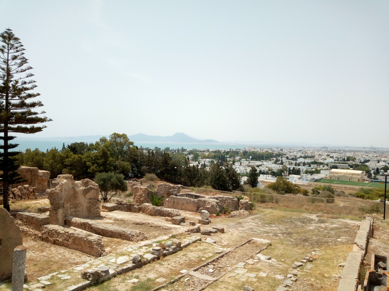  🇹🇳️ And back to Kelibia in Tunisia images/2019/iskel/10.jpg
