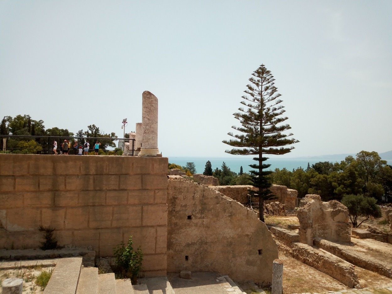  🇹🇳️ And back to Kelibia in Tunisia images/2019/iskel/11.jpg