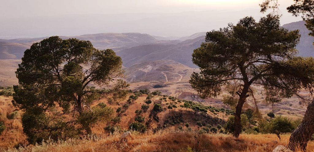  🇯🇴️ Jordan images/2019/jordan/2.jpg