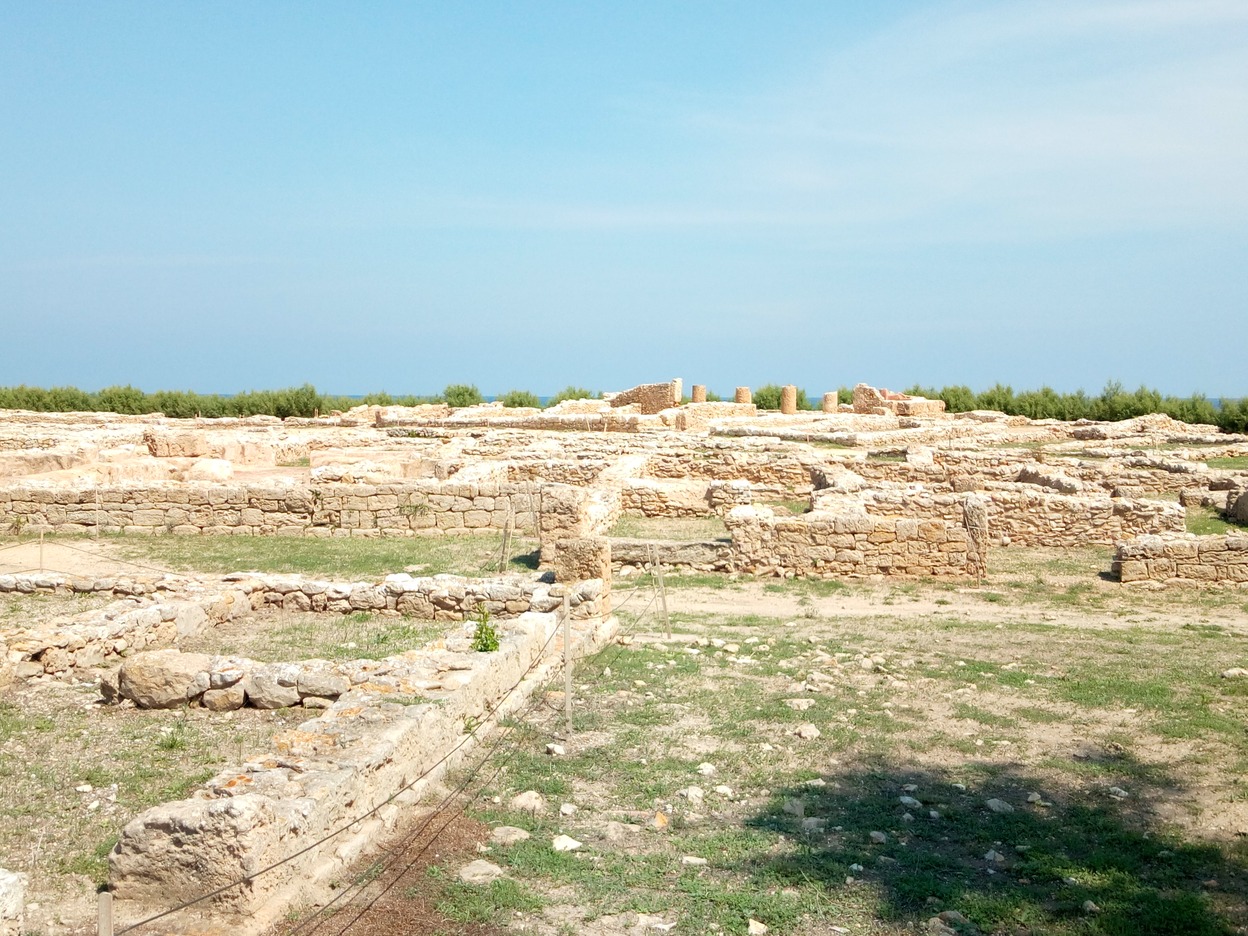 🇹🇳️ Hauling out in Kelibia images/2019/kel/12.jpg