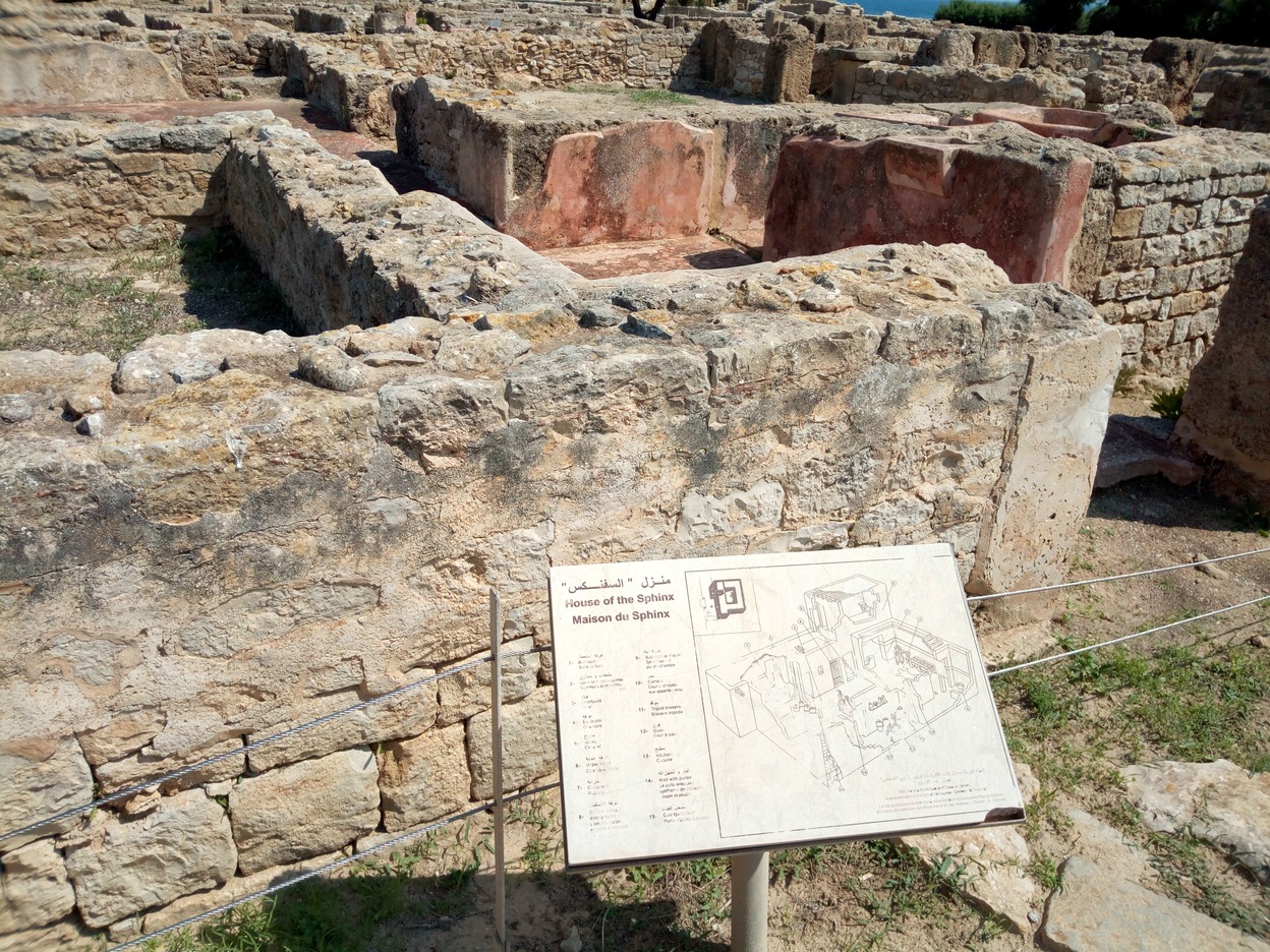  🇹🇳️ Hauling out in Kelibia images/2019/kel/15.jpg