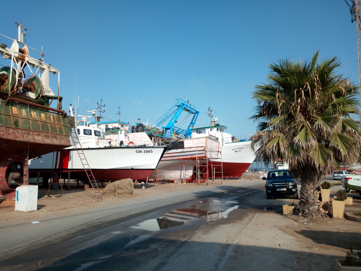 Hauling out in Kelibia images/2019/kel/3.jpg