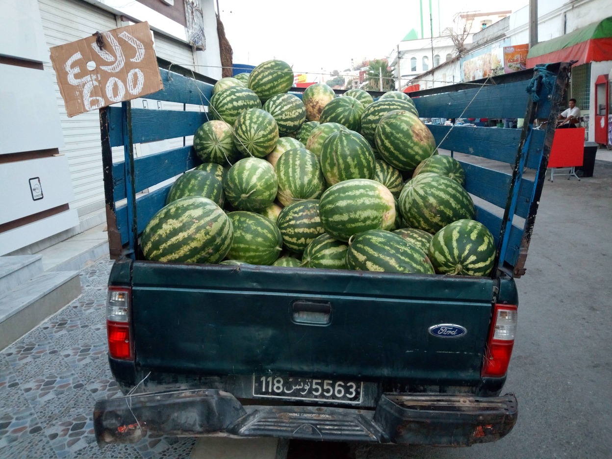  🇹🇳️ Tabarka images/2019/tab/13.jpg