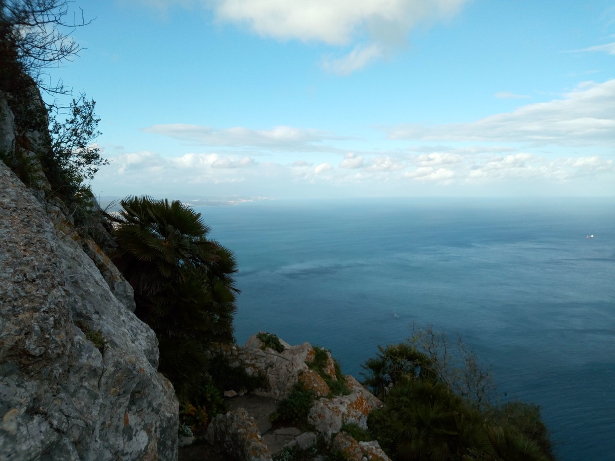  🇨🇻️ Mindelo to 🇬🇮️ Gibraltar images/2019/verdesgib/10.jpg