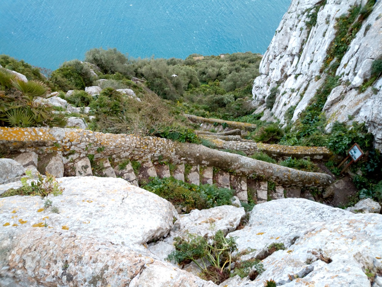  🇨🇻️ Mindelo to 🇬🇮️ Gibraltar images/2019/verdesgib/9.jpg