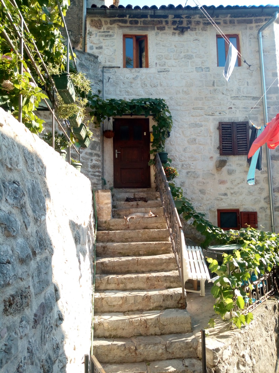  🇲🇪️ Montenegro images/2020/mont/13.jpg