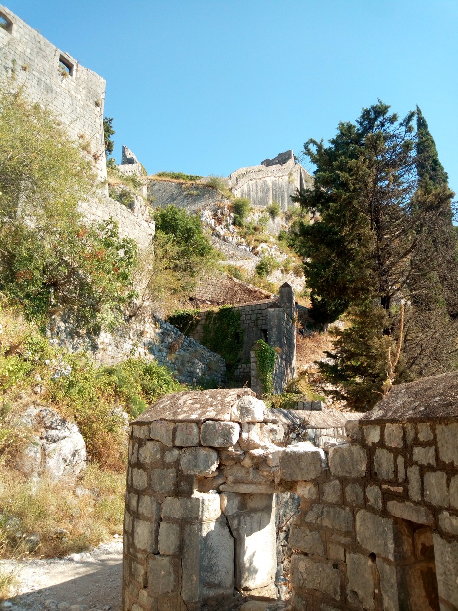  🇲🇪️ Montenegro images/2020/mont/14.jpg