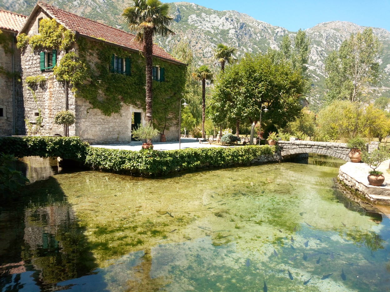  🇲🇪️ Montenegro images/2020/mont/25.jpg