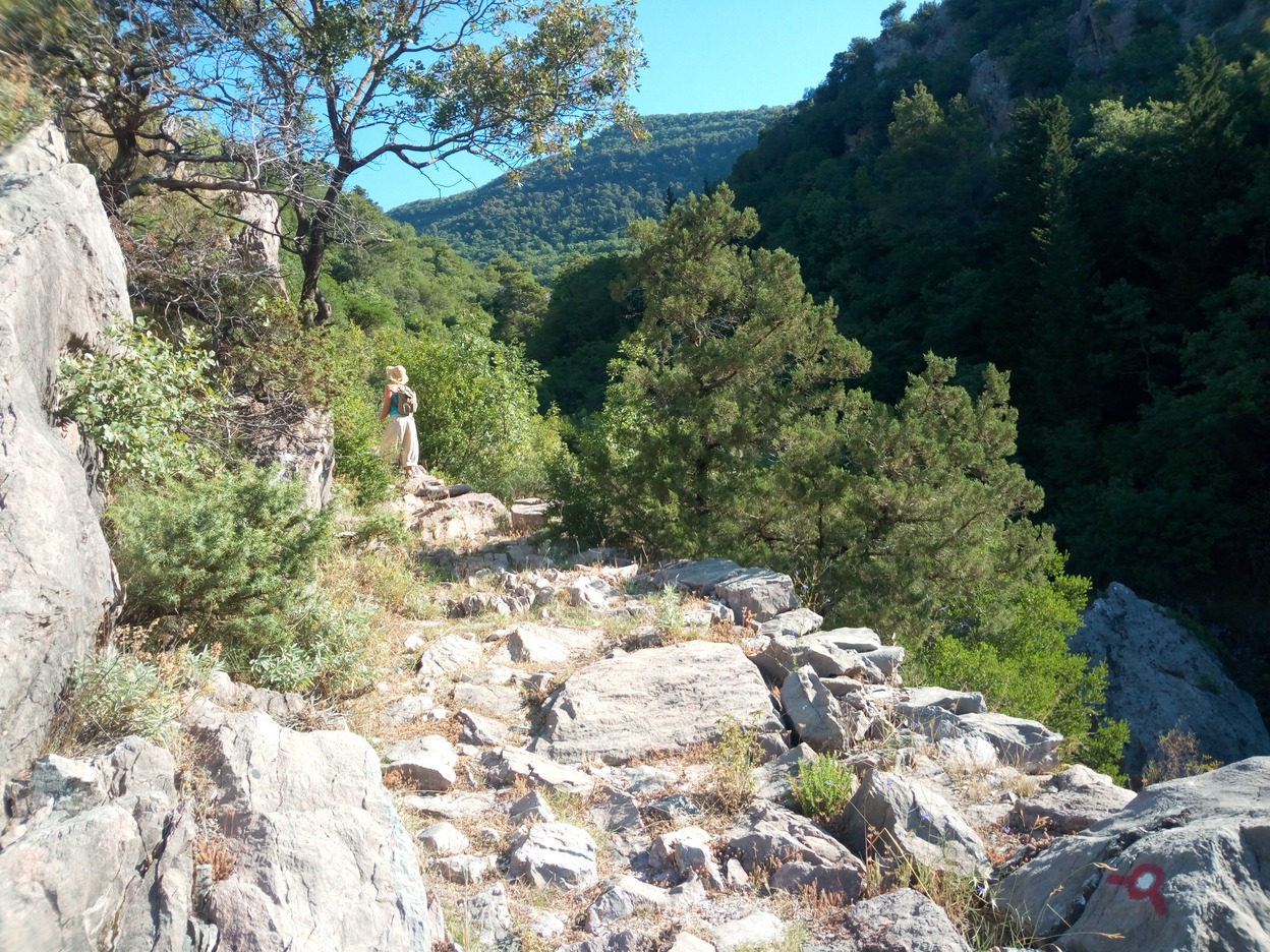 🇲🇪️ Montenegro images/2020/mont/7.jpg