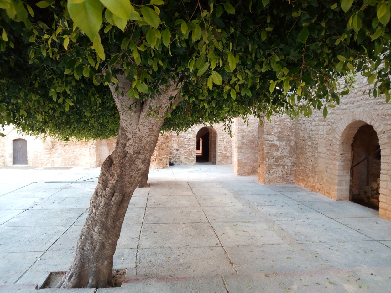  🇹🇳️ A winter and spring in Tunisia  images/2020/wtun/15a.jpg