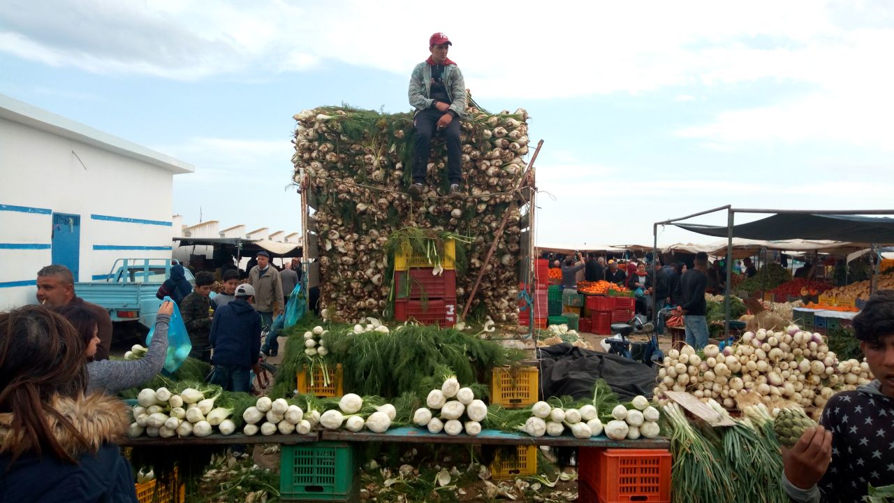  🇹🇳️ A winter and spring in Tunisia  images/2020/wtun/15b.jpg