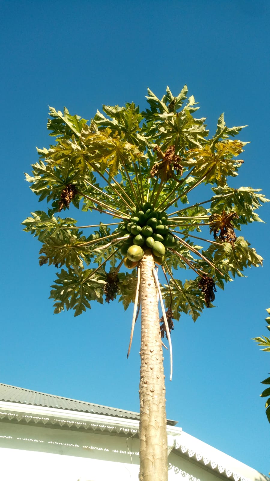  🇷🇪️ Reunion Island images/2021/reunion/10.jpg
