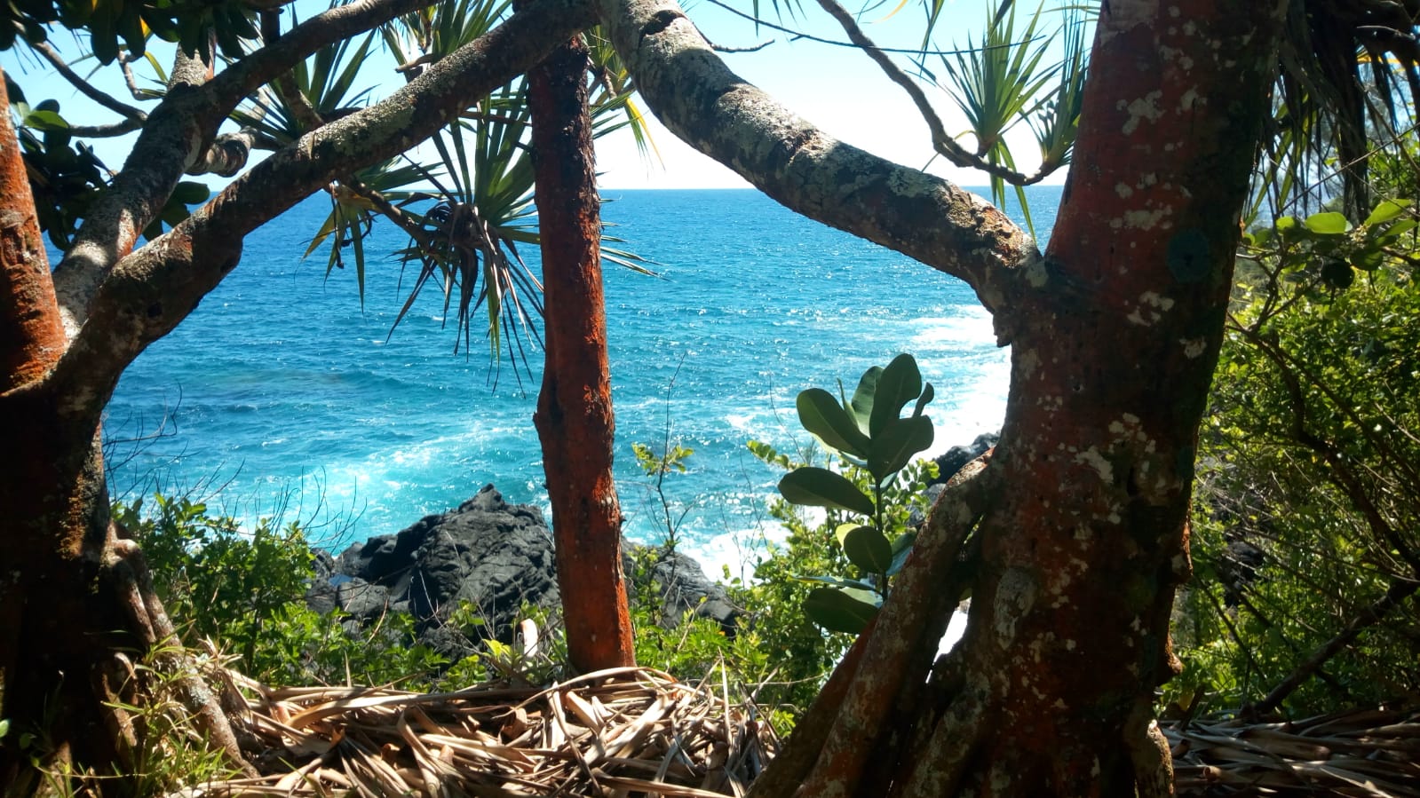  🇷🇪️ Reunion Island images/2021/reunion/21.jpg