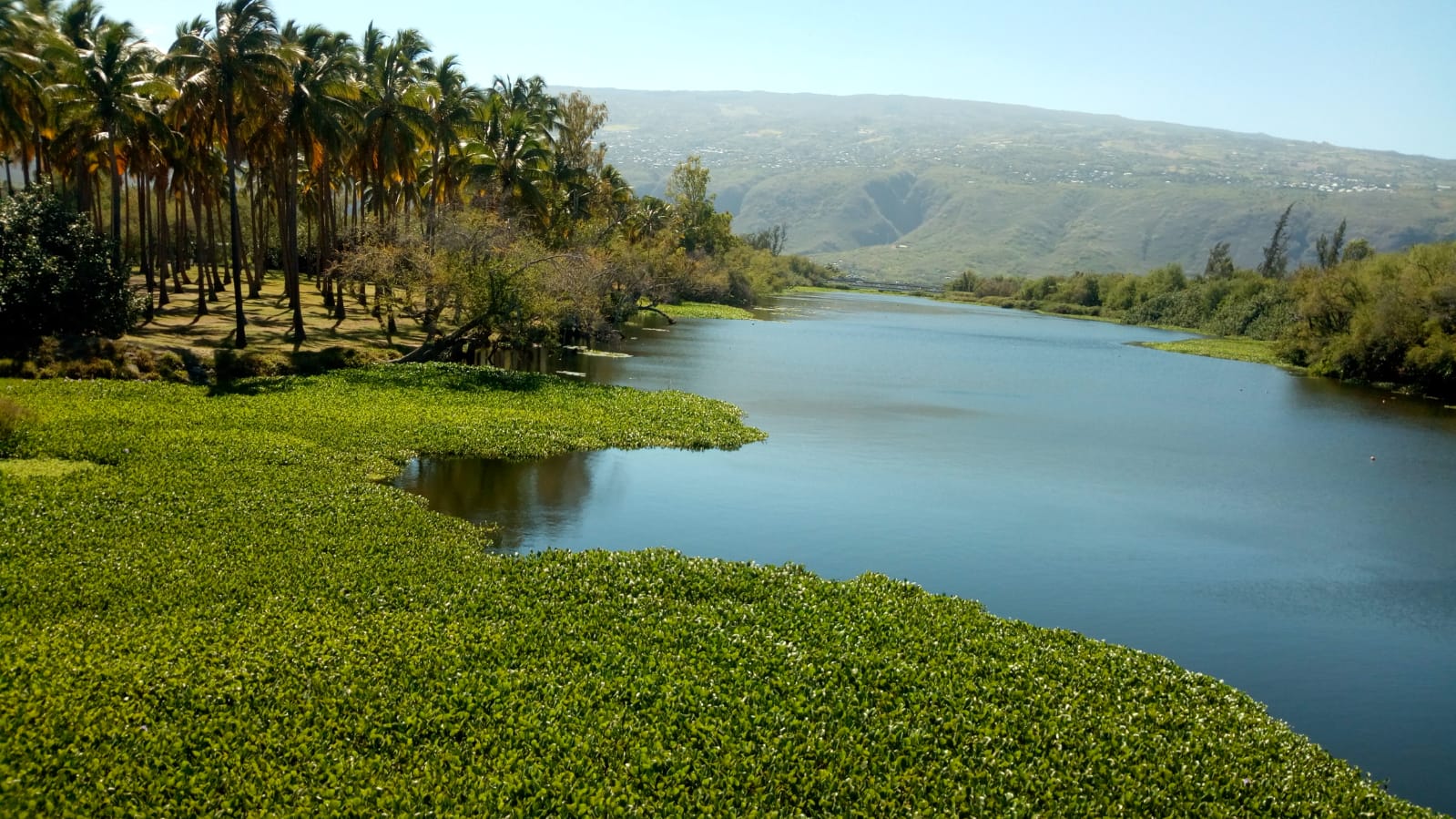  🇷🇪️ Reunion Island images/2021/reunion/22.jpg
