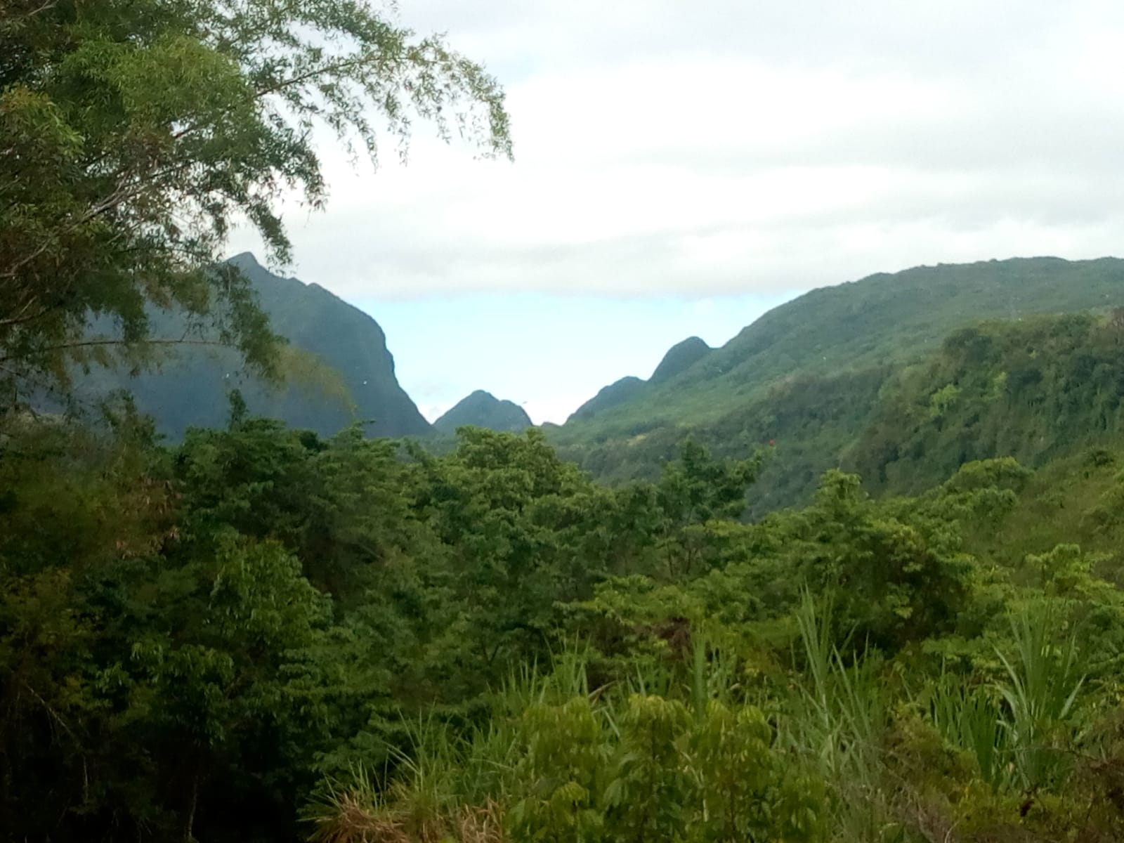  🇷🇪️ Reunion Island images/2021/reunion/24.jpg