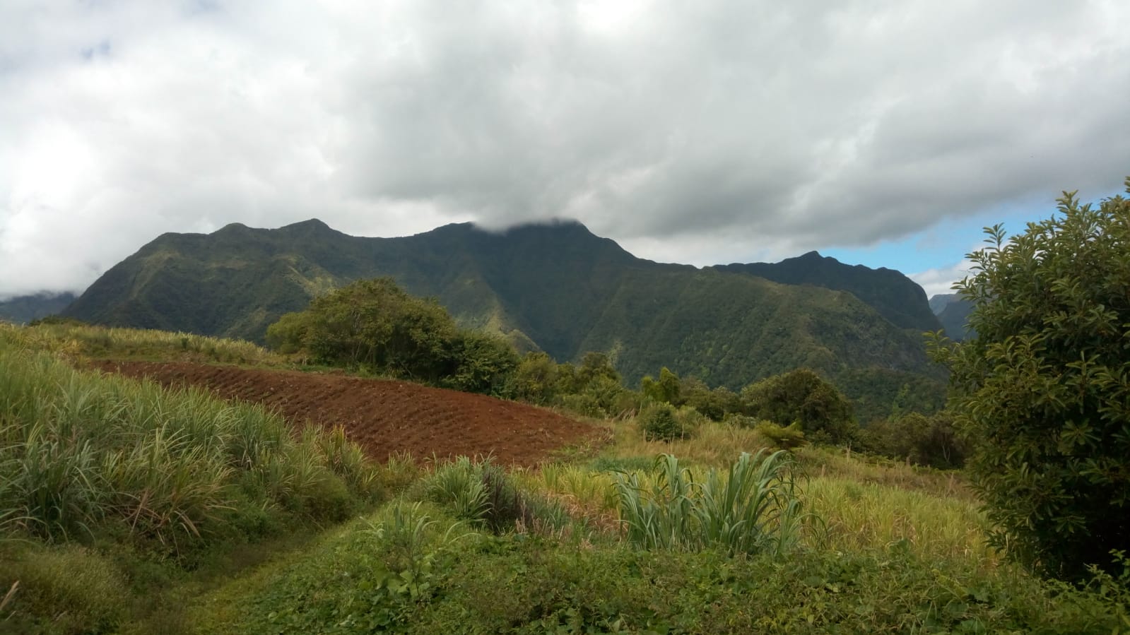  🇷🇪️ Reunion Island images/2021/reunion/26.jpg