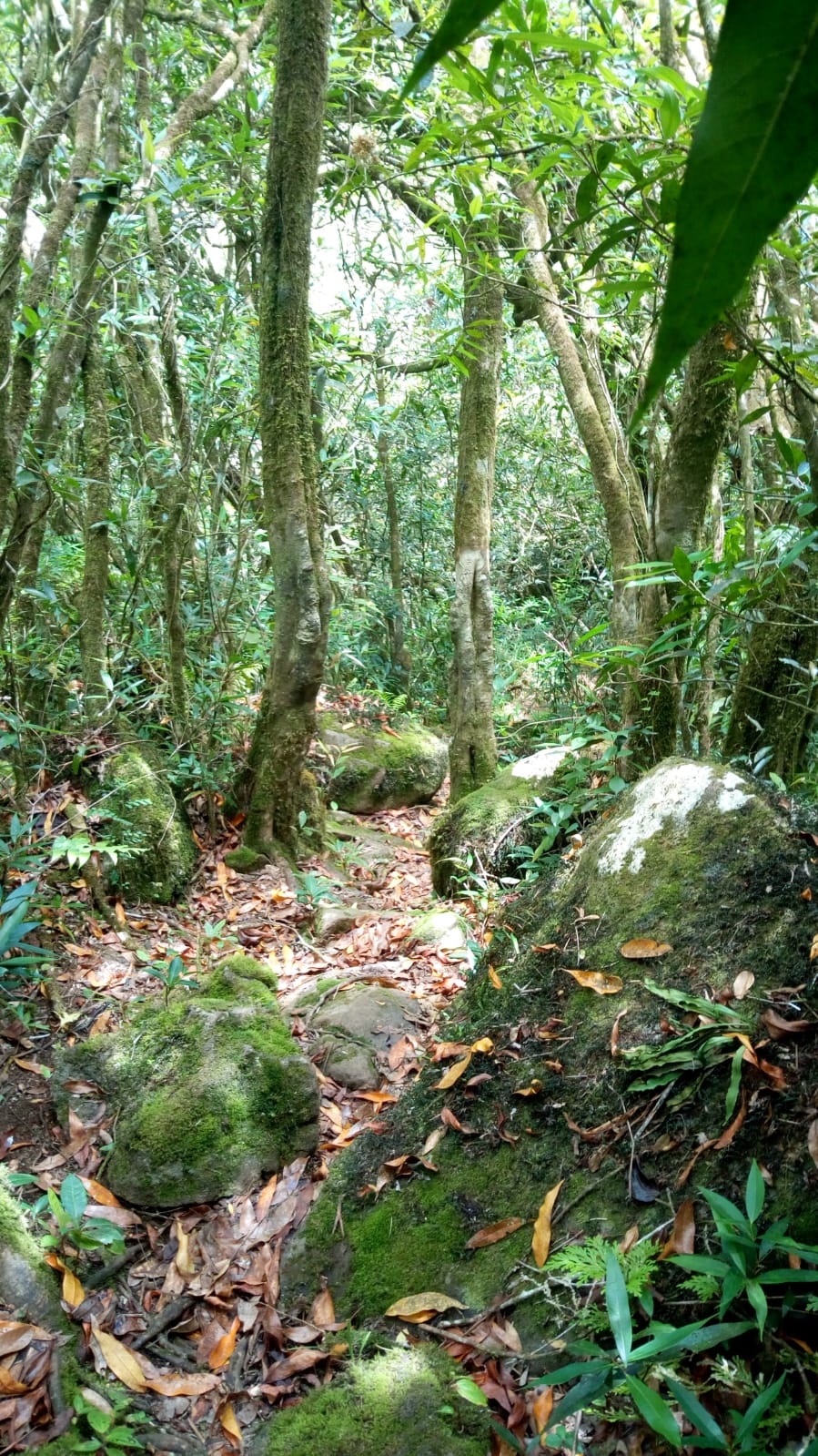  🇷🇪️ Reunion Island images/2021/reunion/30.jpg