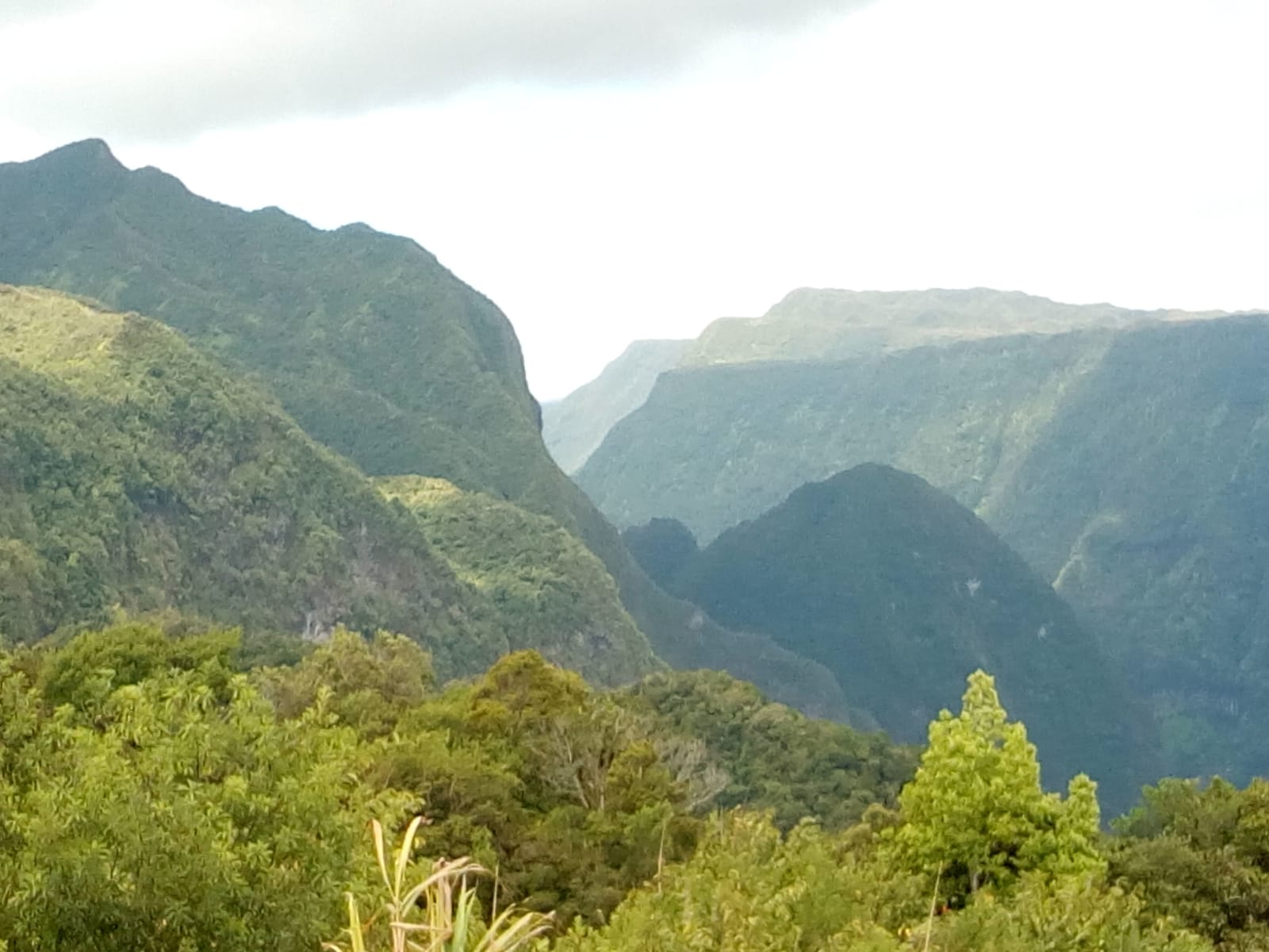  🇷🇪️ Reunion Island images/2021/reunion/31.jpg