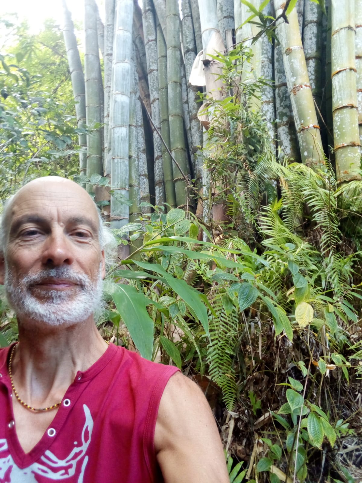  🇷🇪️ Reunion Island images/2021/reunion/32.jpg