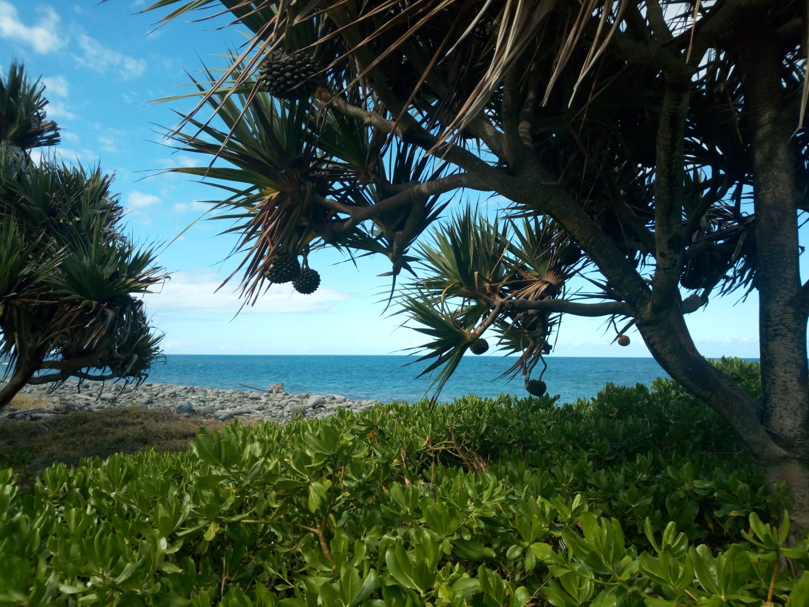  🇷🇪️ Reunion Island images/2021/reunion/38.jpg