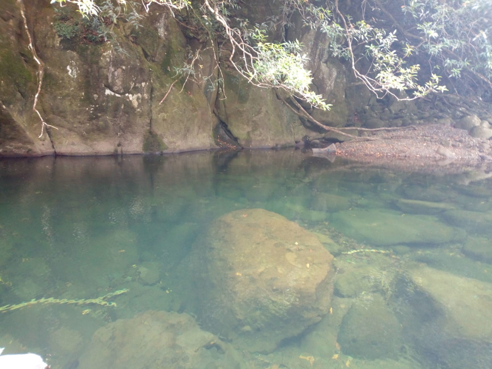  🇷🇪️ Reunion Island images/2021/reunion/39.jpg