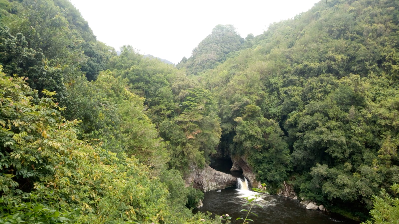  🇷🇪️ Reunion Island images/2021/reunion/42.jpg